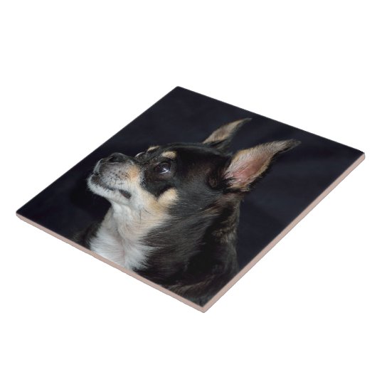 Niedlich Chihuahua Dog Fliese (Seite)