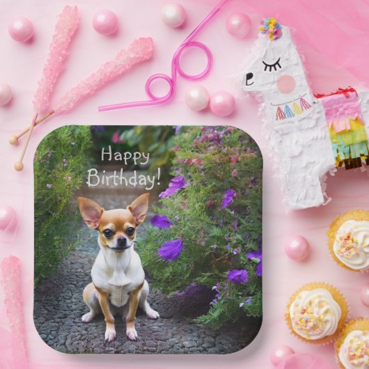 Niedlich Chihuahua Pappteller (Party)