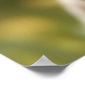 Niedlich Chihuahua Puppy Poster (Ecke)