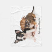 Niedlich Chihuahuas Foto Fleece Blanket (Vorderseite)