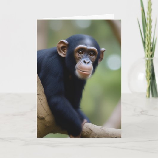 Niedlich Chimp Geburtstag Karte (Vorderseite)