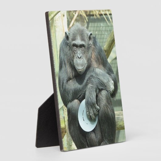 NIEDLICH CHIMPANZEE FOTOPLATTE (Seite)