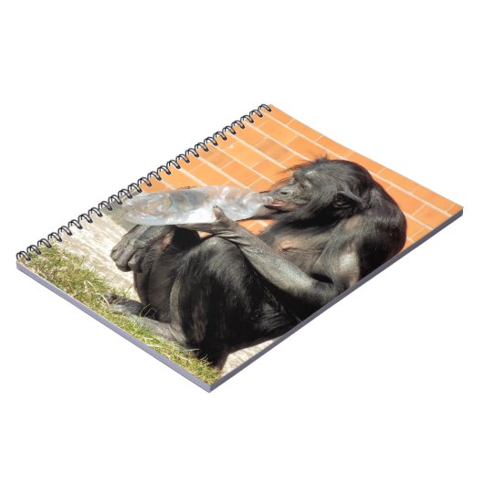 NIEDLICH CHIMPANZEE NOTIZBLOCK (Linke Seite)