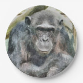 NIEDLICH CHIMPANZEE PAPPTELLER (Vorderseite)