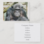 NIEDLICH CHIMPANZEE VISITENKARTE (Vorne/Hinten)
