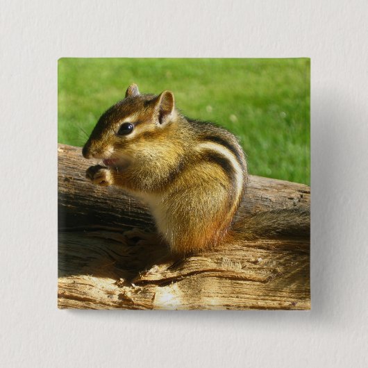 Niedlich Chipmunk Button (Vorderseite)