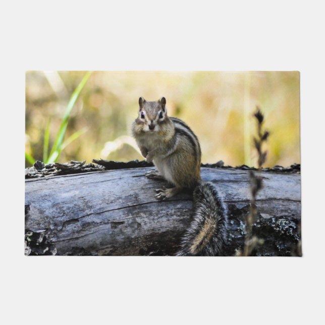 Niedlich Chipmunk Door Mat Fußmatte (Vorderseite)