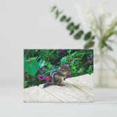 Niedlich-Chipmunk-Foto Postkarte (Stehend Vorderseite)