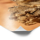 Niedlich Chipmunk Fotodruck (Ecke)