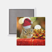 Niedlich Chipmunk Frohe Weihnachten Magnet (Vorderseite/Rückseite)