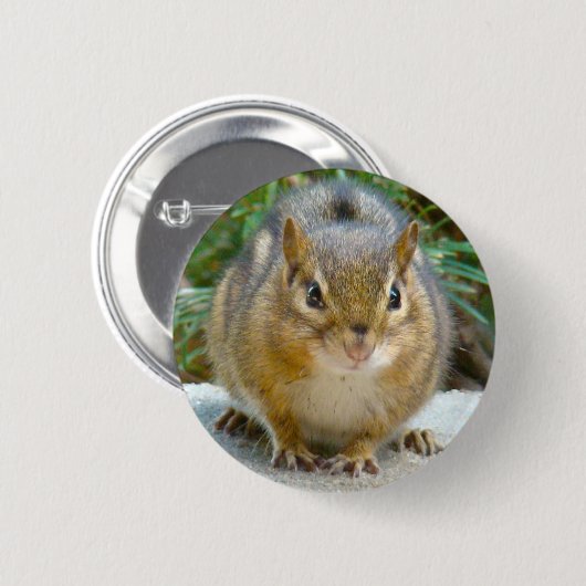 Niedlich Chipmunk hat sein Auge auf dich Button (Vorne & Hinten)