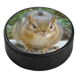 Niedlich Chipmunk hat sein Auge auf dich Eishockey Puck