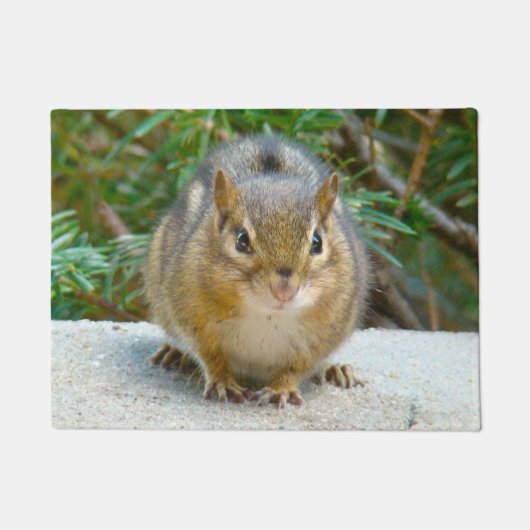 Niedlich Chipmunk hat sein Auge auf dich Fußmatte (Vorderseite)