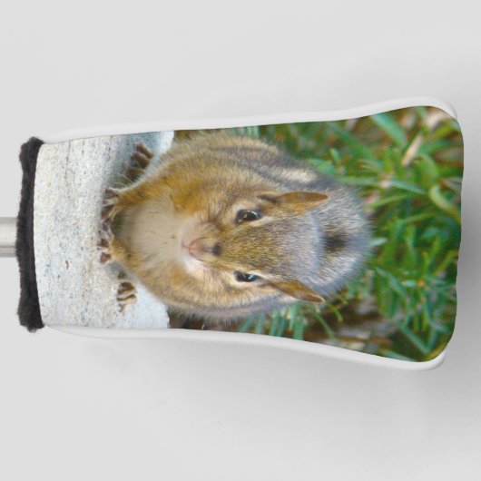 Niedlich Chipmunk hat sein Auge auf dich Golf Headcover (Vorderseite)