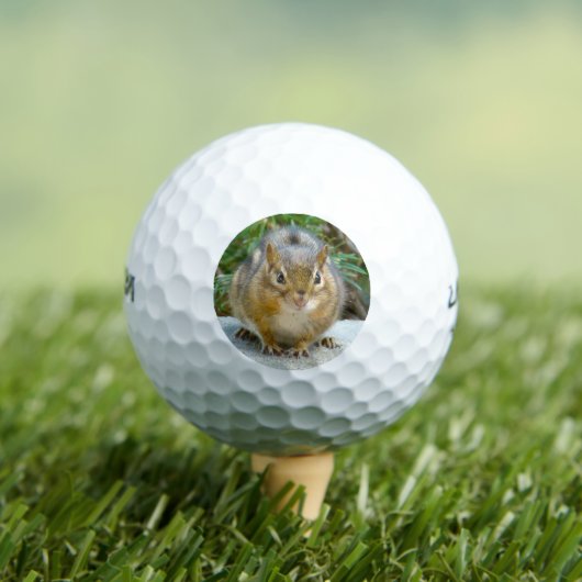 Niedlich Chipmunk hat sein Auge auf dich Golfball (Insitu T-Shirt)