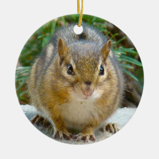 Niedlich Chipmunk hat sein Auge auf dich Keramikornament (Vorne)