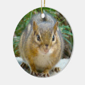 Niedlich Chipmunk hat sein Auge auf dich Keramikornament (Links)