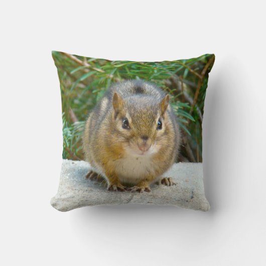Niedlich Chipmunk hat sein Auge auf dich Kissen (Vorderseite)