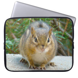 Niedlich Chipmunk hat sein Auge auf dich Laptopschutzhülle