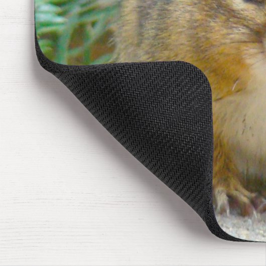 Niedlich Chipmunk hat sein Auge auf dich Mousepad (Ecke)
