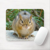 Niedlich Chipmunk hat sein Auge auf dich Mousepad (Mit Mouse)