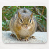 Niedlich Chipmunk hat sein Auge auf dich Mousepad (Vorne)