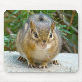 Niedlich Chipmunk hat sein Auge auf dich Mousepad