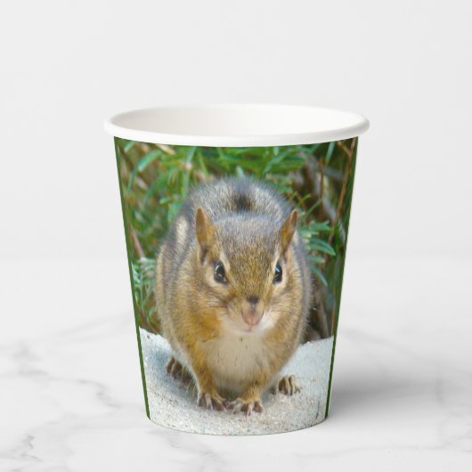 Niedlich Chipmunk hat sein Auge auf dich Pappbecher (Rückseite)