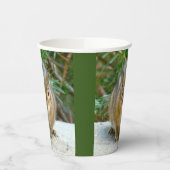 Niedlich Chipmunk hat sein Auge auf dich Pappbecher (Links)