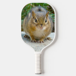 Niedlich Chipmunk hat sein Auge auf dich Pickleball Schläger