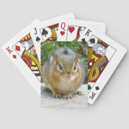 Niedlich Chipmunk hat sein Auge auf dich Spielkarten