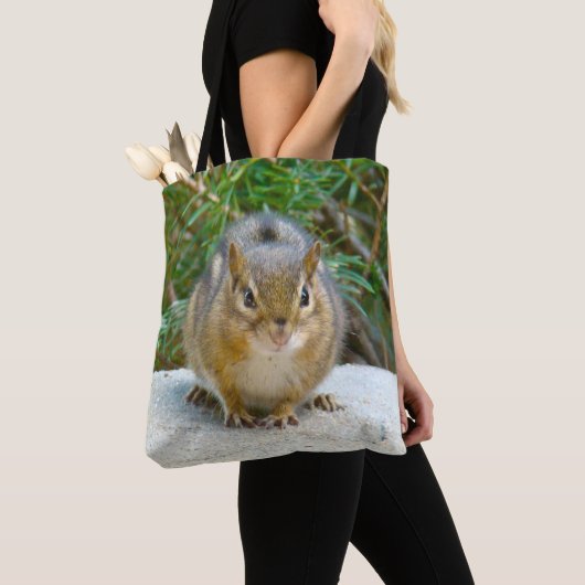 Niedlich Chipmunk hat sein Auge auf dich Tasche (Von Nahem)
