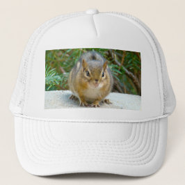 Niedlich Chipmunk hat sein Auge auf dich Truckerkappe