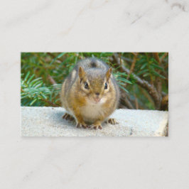 Niedlich Chipmunk hat sein Auge auf dich Visitenkarte