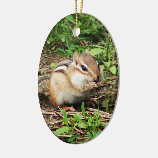 Niedlich Chipmunk Keramik Ornament (Links)