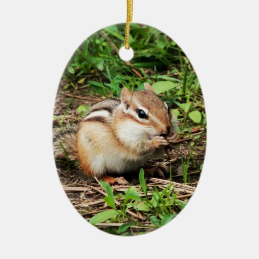 Niedlich Chipmunk Keramik Ornament (Vorne)