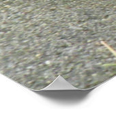 Niedlich Chipmunk Poster (Ecke)