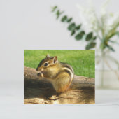 Niedlich Chipmunk Postkarte (Stehend Vorderseite)