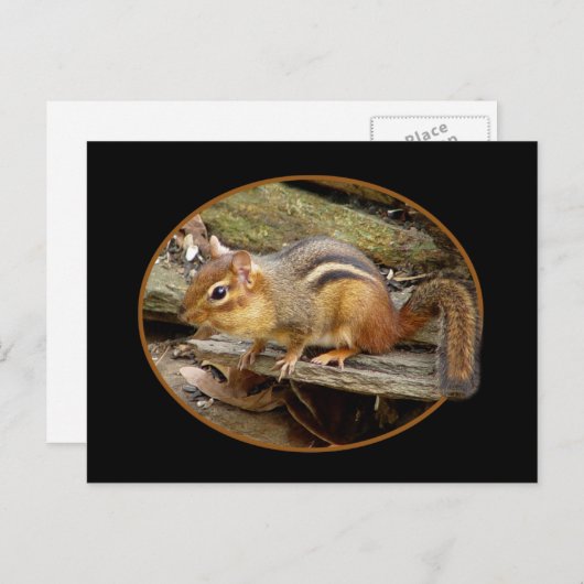 Niedlich Chipmunk-Postkarte Postkarte (Vorne/Hinten)