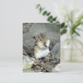 Niedlich Chipmunk-Postkarte Postkarte (Stehend Vorderseite)