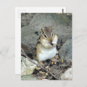 Niedlich Chipmunk-Postkarte Postkarte (Vorne/Hinten)