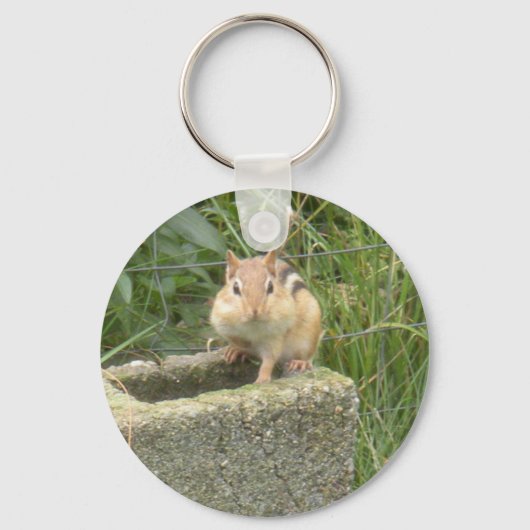 Niedlich Chipmunk Schlüsselanhänger (Vorderseite)