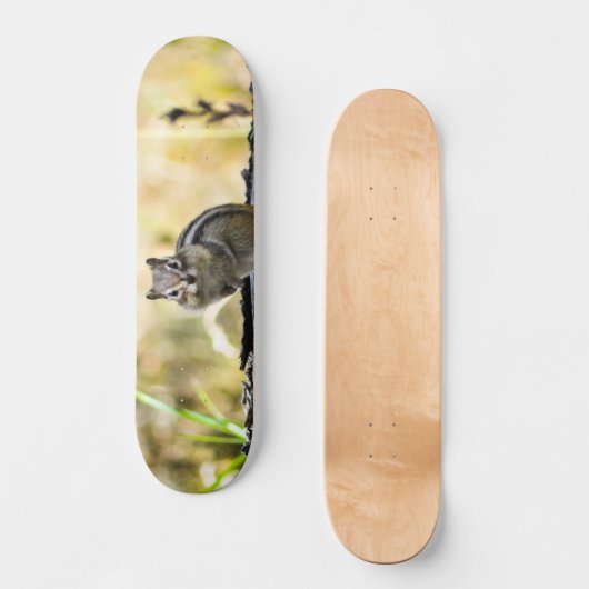Niedlich Chipmunk Skateboard (Vorderseite)