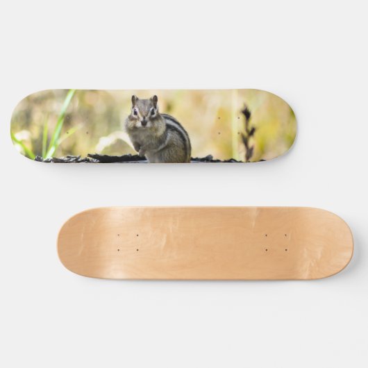 Niedlich Chipmunk Skateboard (Horizontal)