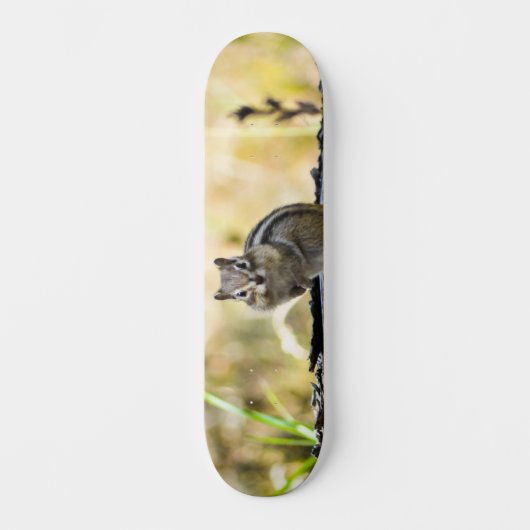 Niedlich Chipmunk Skateboard (Vorderseite)