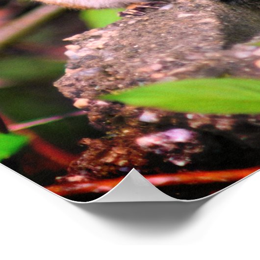 Niedlich Chipmunk Wildlife Poster (Ecke)