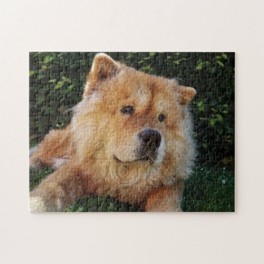 Niedlich Chow Chow Hund Puzzle (Horizontal)