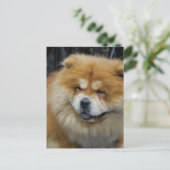 Niedlich Chow Chow Postkarte (Stehend Vorderseite)