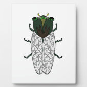 Niedlich Cicada Fotoplatte (Vorderseite)