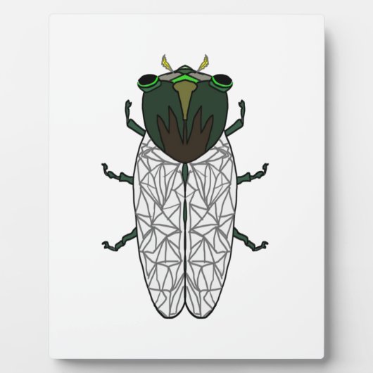 Niedlich Cicada Fotoplatte (Vorderseite)